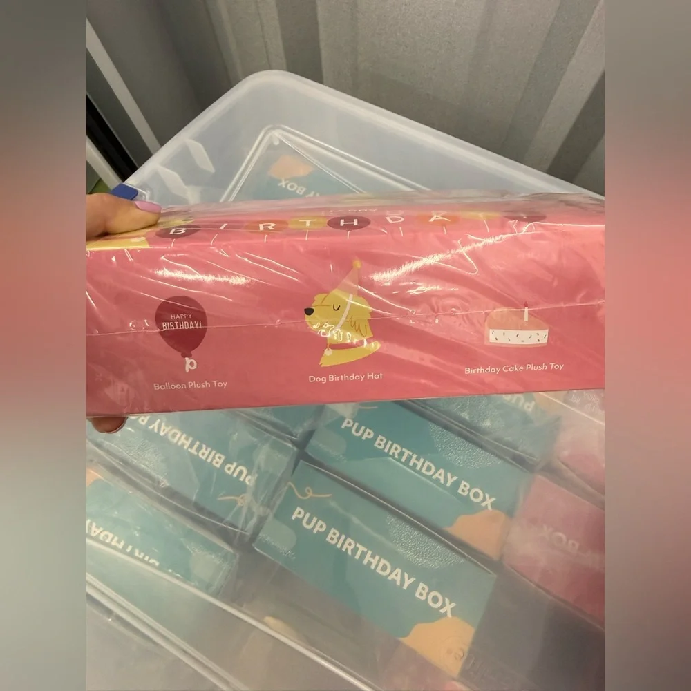 ZippyPaws Dog Pink Birthday Box
